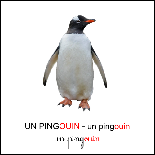 Le son